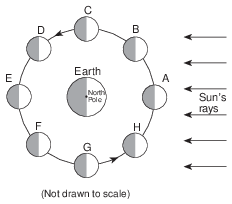seasons-and-astronomy, tides, standard-6-interconnectedness, models fig: esci12016-examw_g4.png